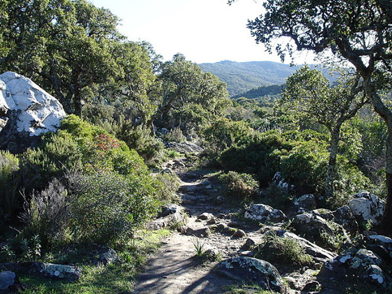 La garrigue de l'Ardèche