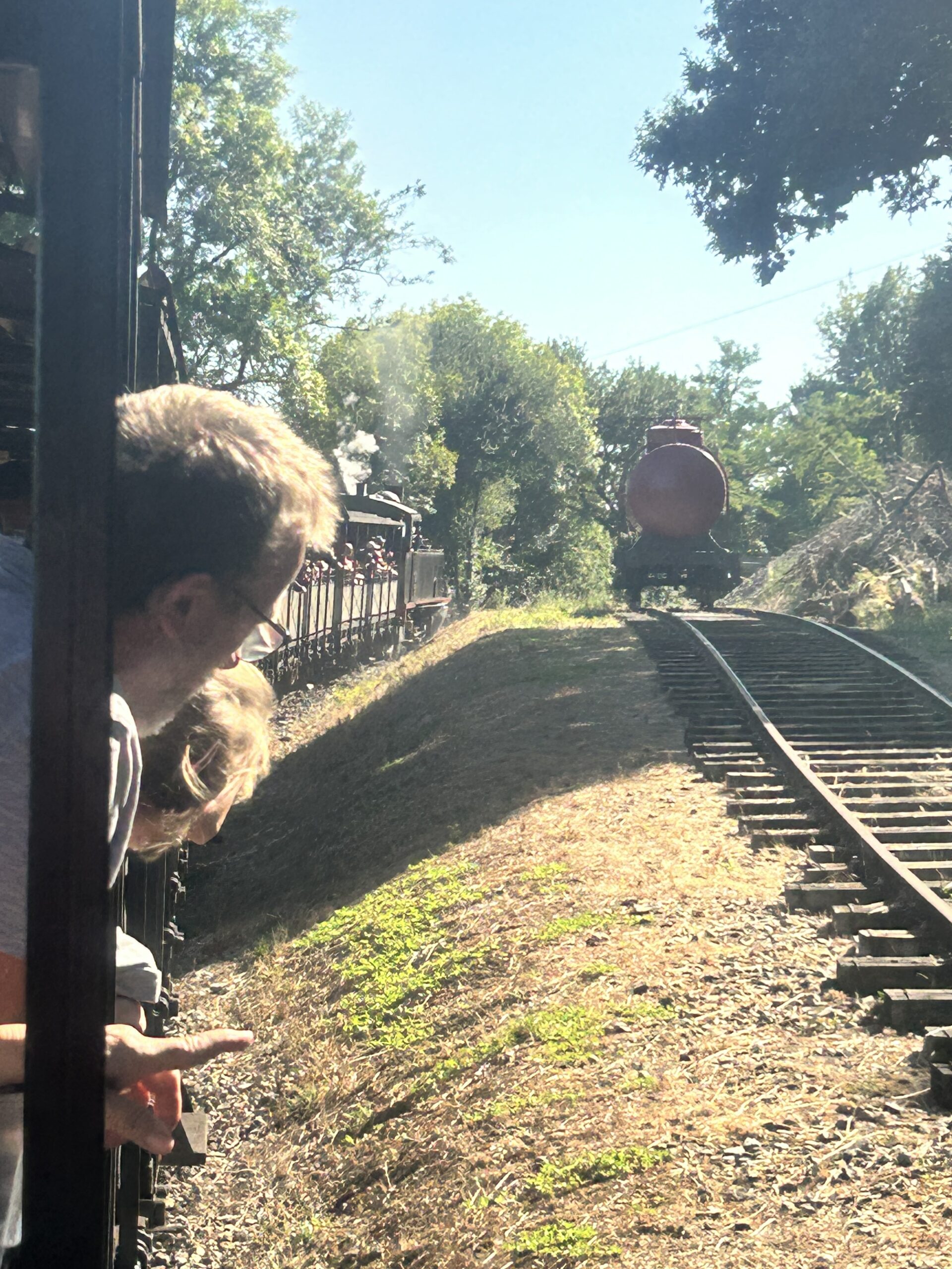 un tour en locomotive à vapeur