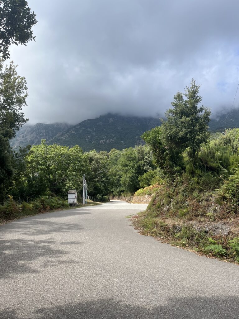 haute-corse castagniccia